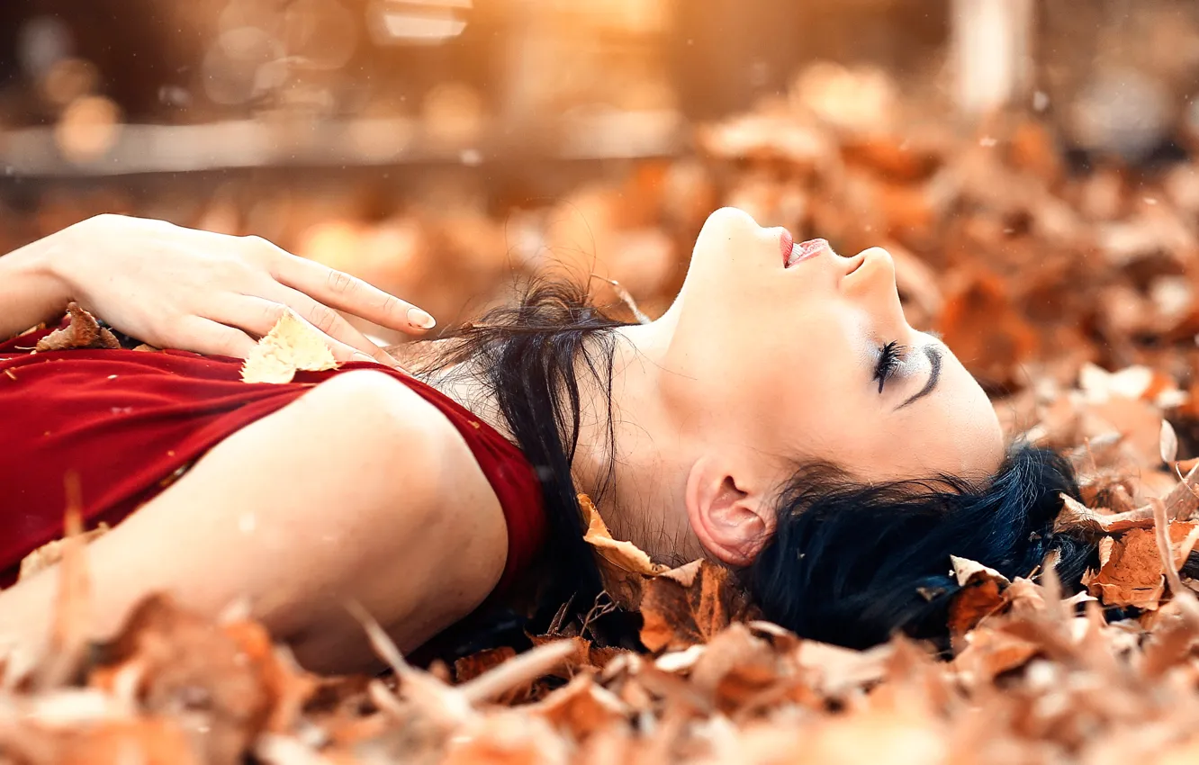Photo wallpaper leaves, girl, Alessandro Di Cicco, Sweet autumns dream