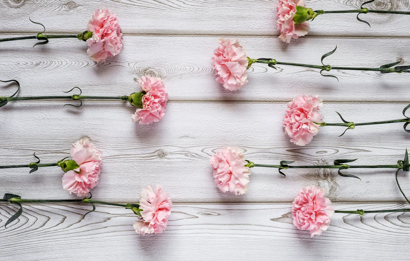 Photo wallpaper flowers, pink, wood, pink, flowers, clove