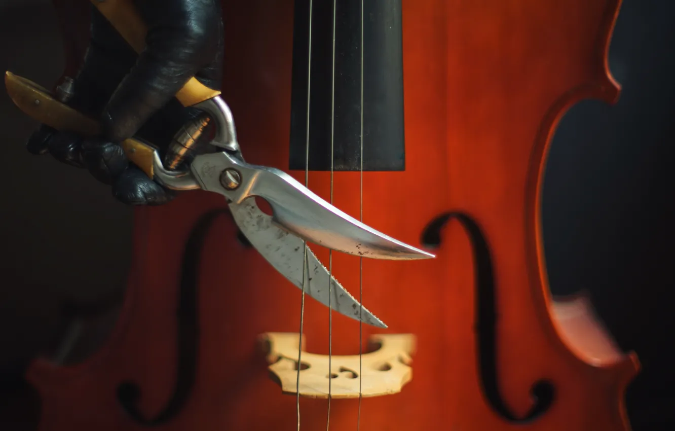 Photo wallpaper strings, cello, scissors