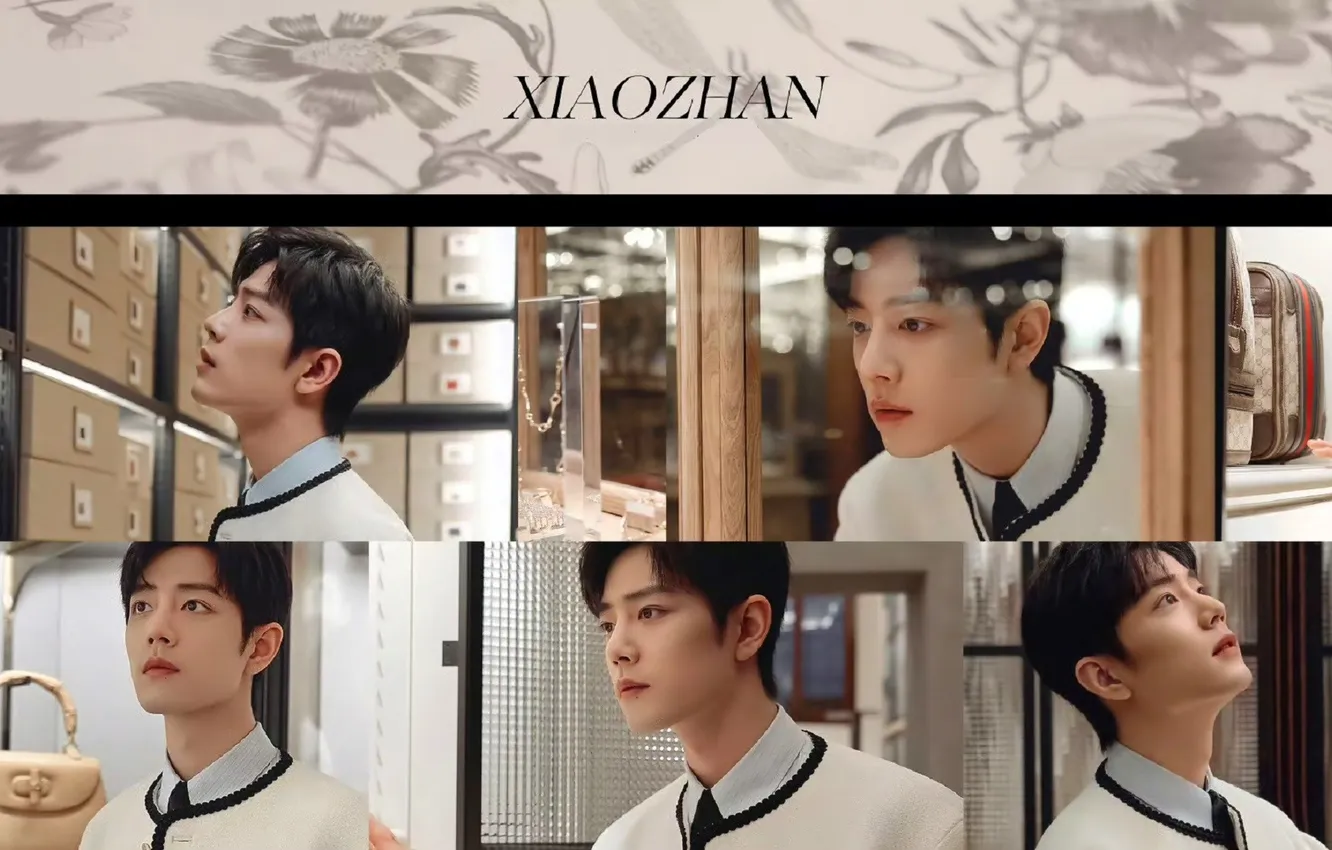 Photo wallpaper decoration, face, collage, China, actor, bag, jacket, box