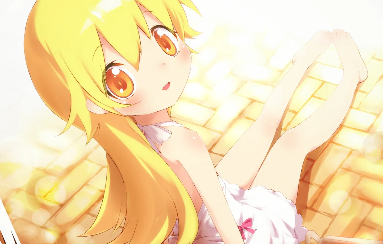 Photo wallpaper look, joy, girl, donuts, art, bakemonogatari, oshino shinobu, Ayakashi