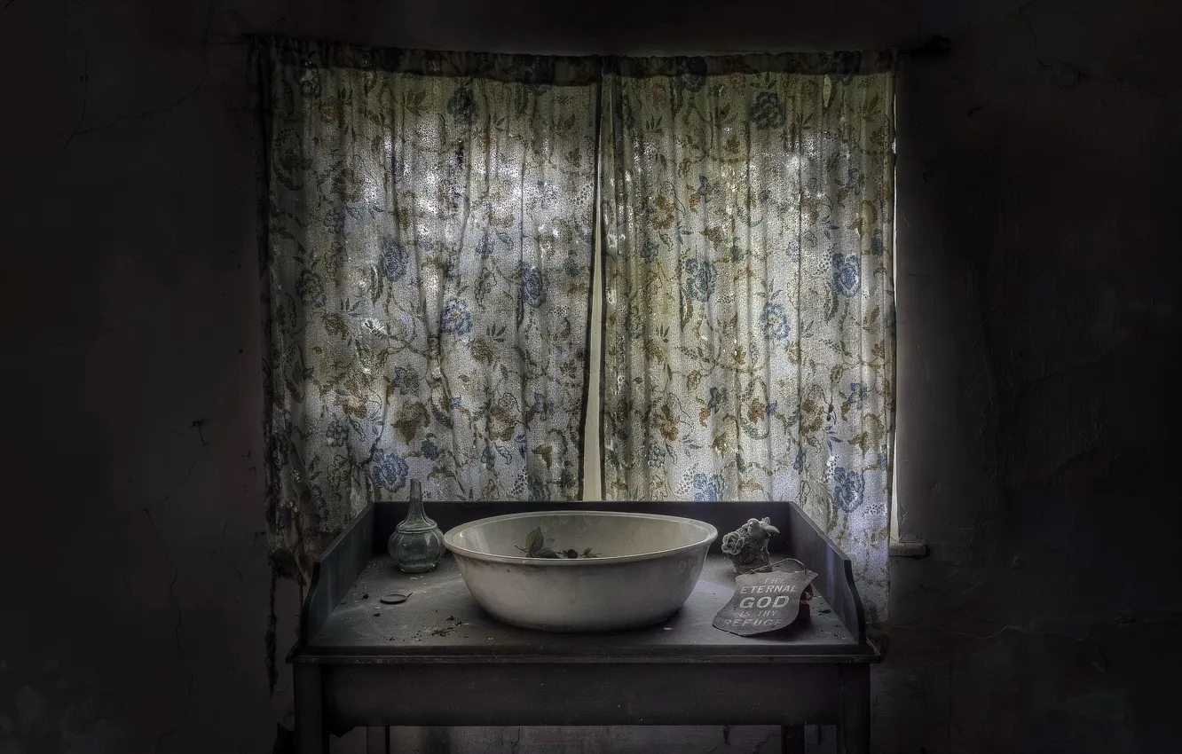 Photo wallpaper room, window, Taz