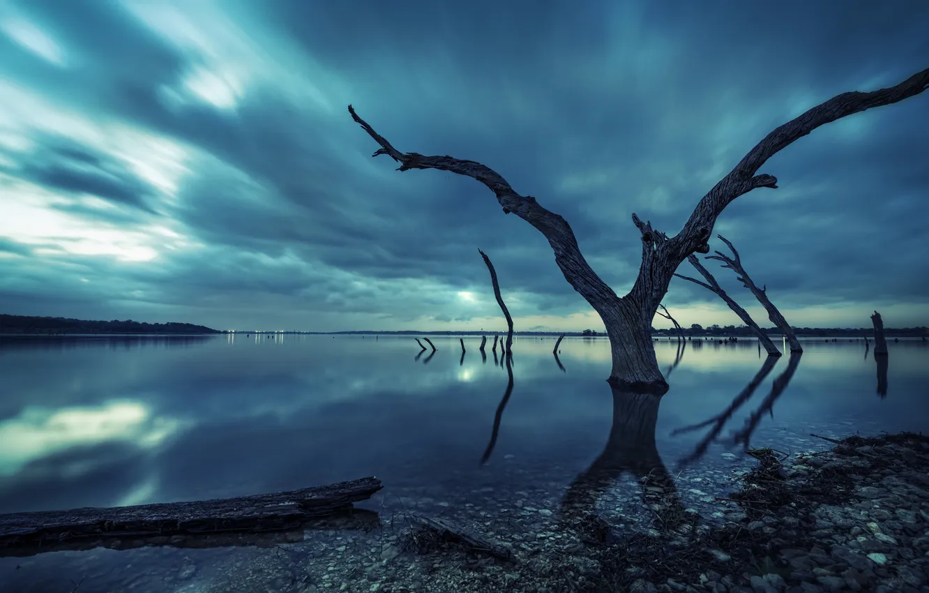 Photo wallpaper the sky, clouds, trees, sunset, lake