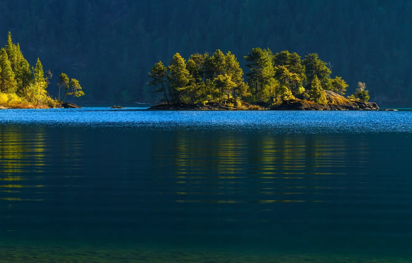 Photo wallpaper forest, water, trees, Canada, Canada, island, Cowichan Lake, lake Cowichan