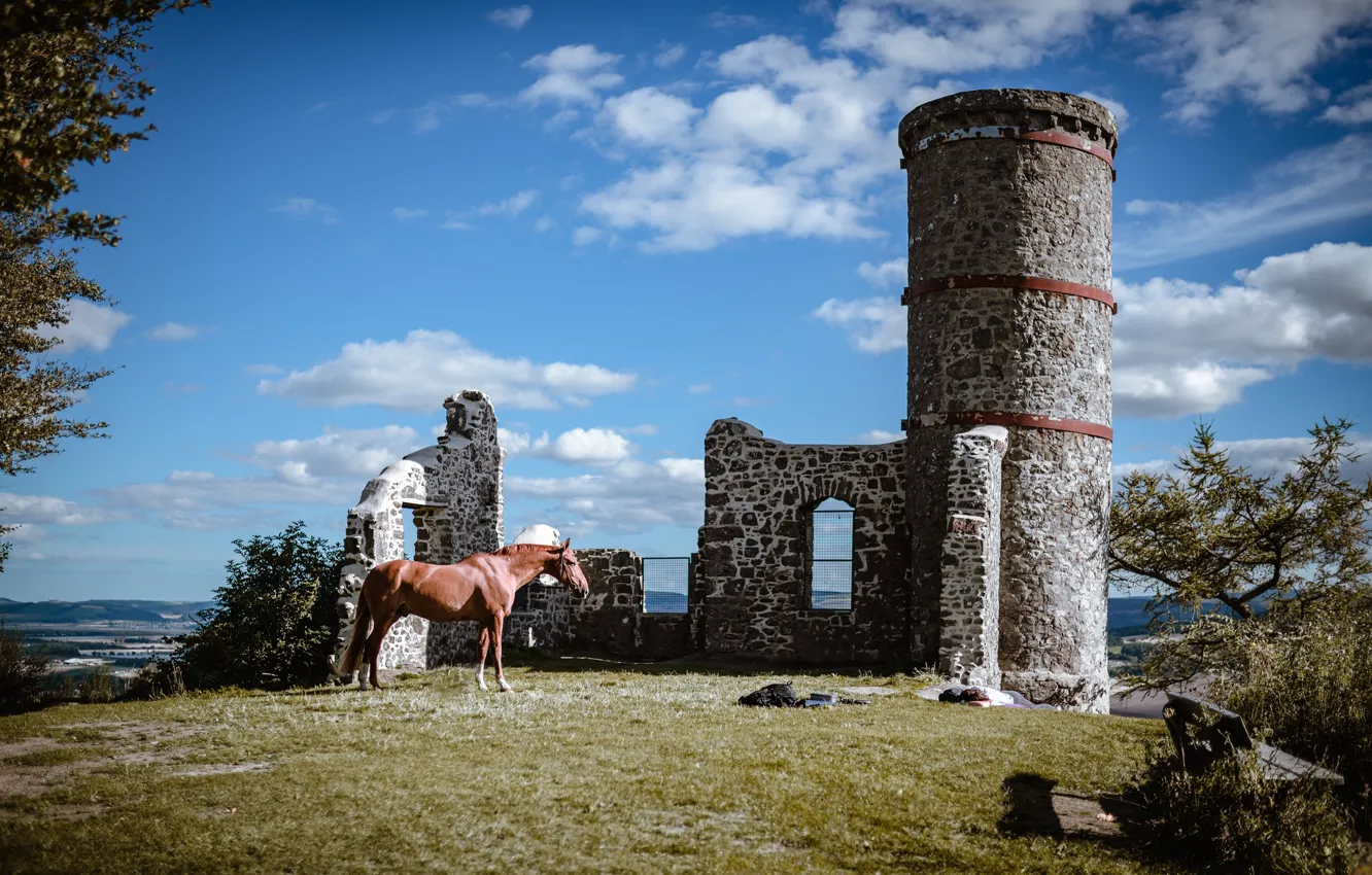 Photo wallpaper castle, horse, horse, ruins