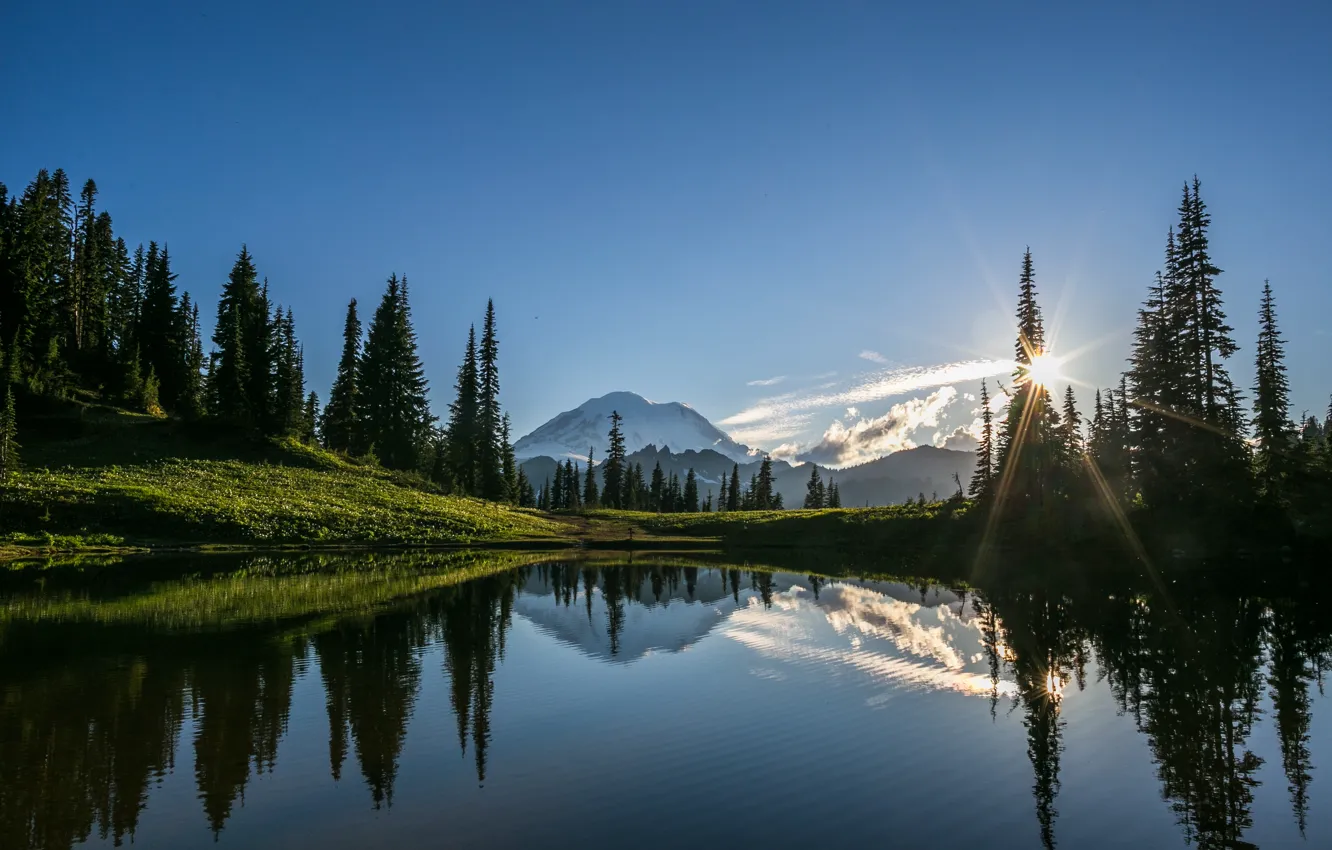 Photo wallpaper forest, the sun, landscape, mountains, Mt. Rainier