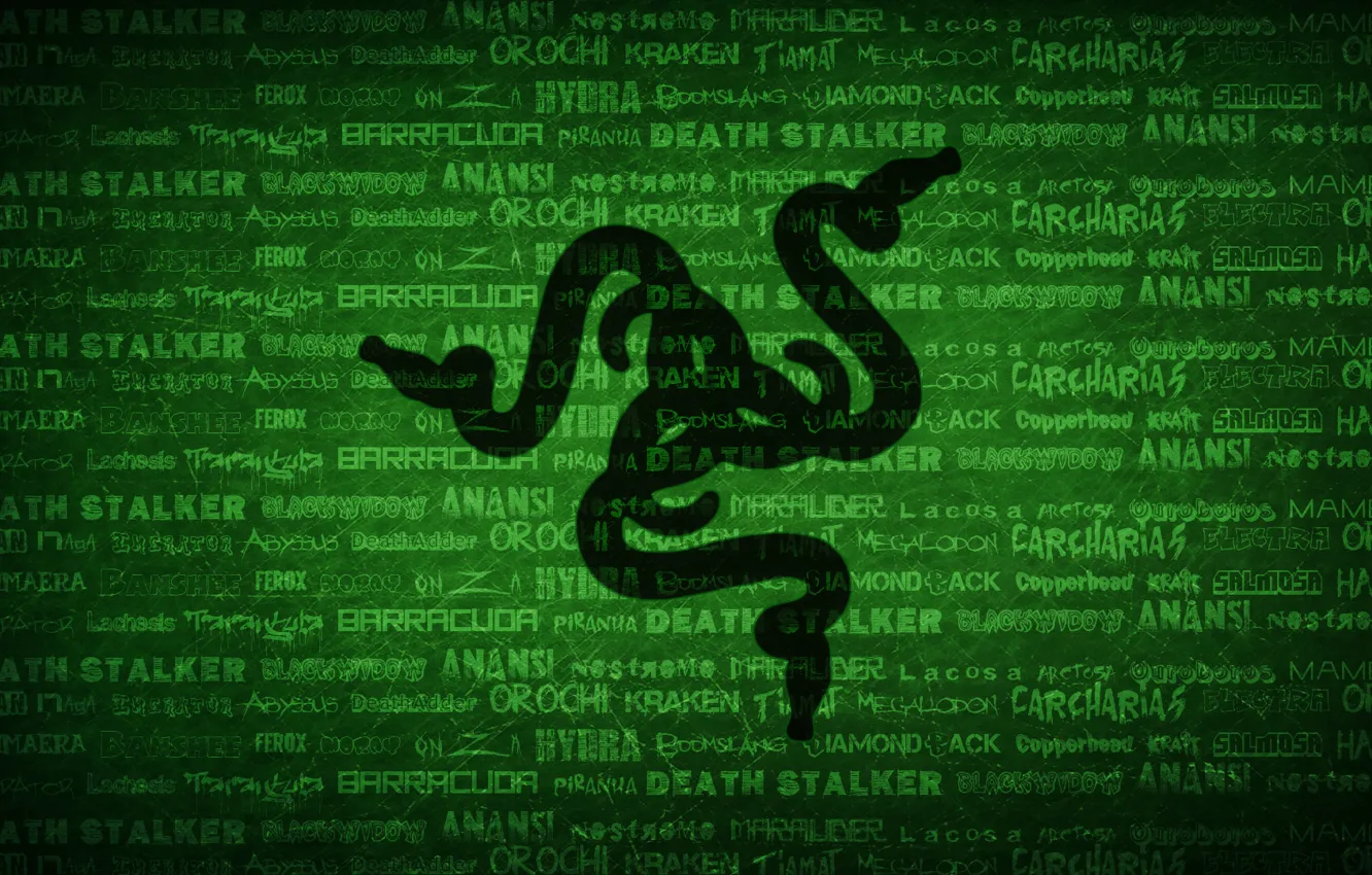 Photo wallpaper green, wallpaper, logo, black, Razer