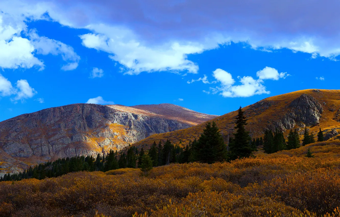 Photo wallpaper autumn, forest, mountains, blue, slope