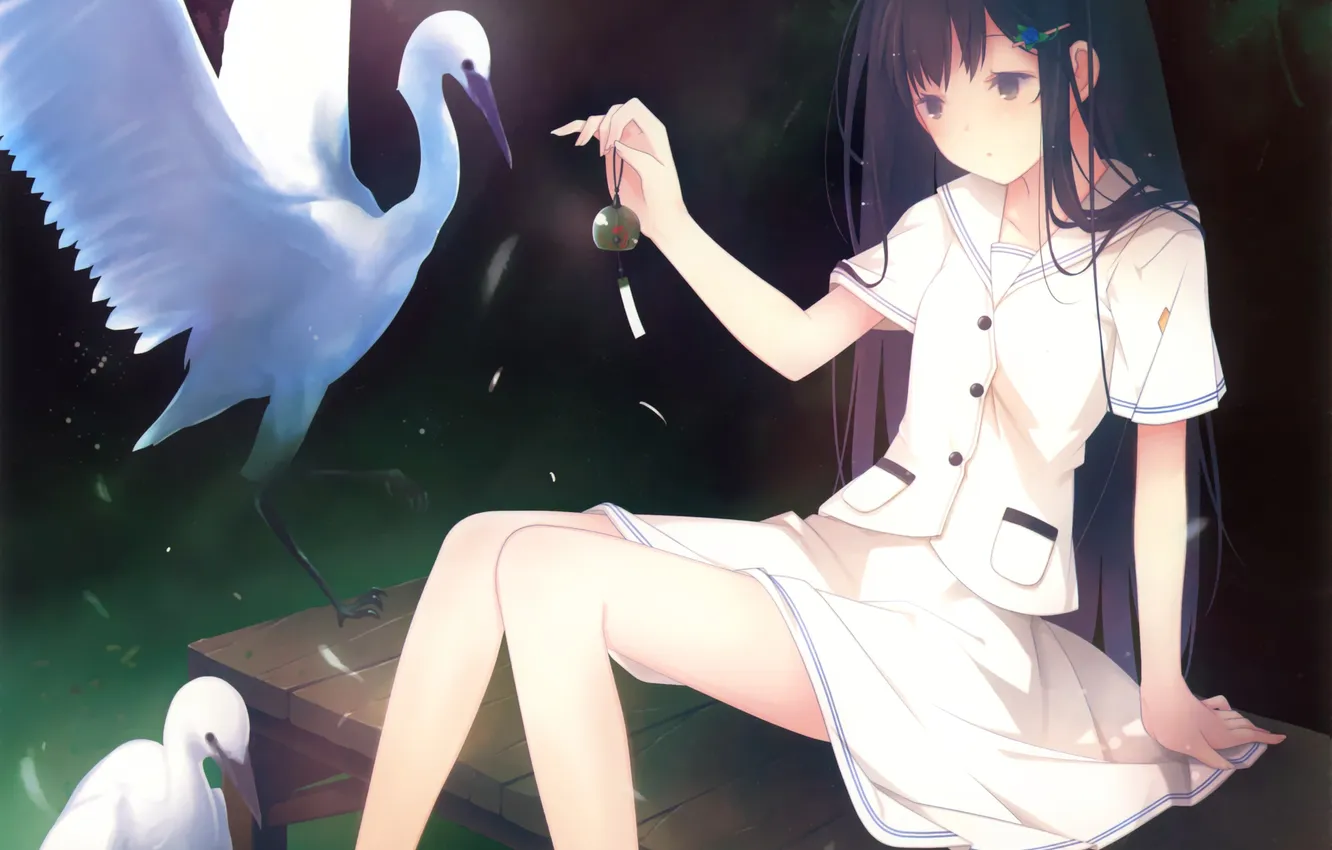 Photo wallpaper water, girl, bird, anime, art, schoolgirl, sitting, swans