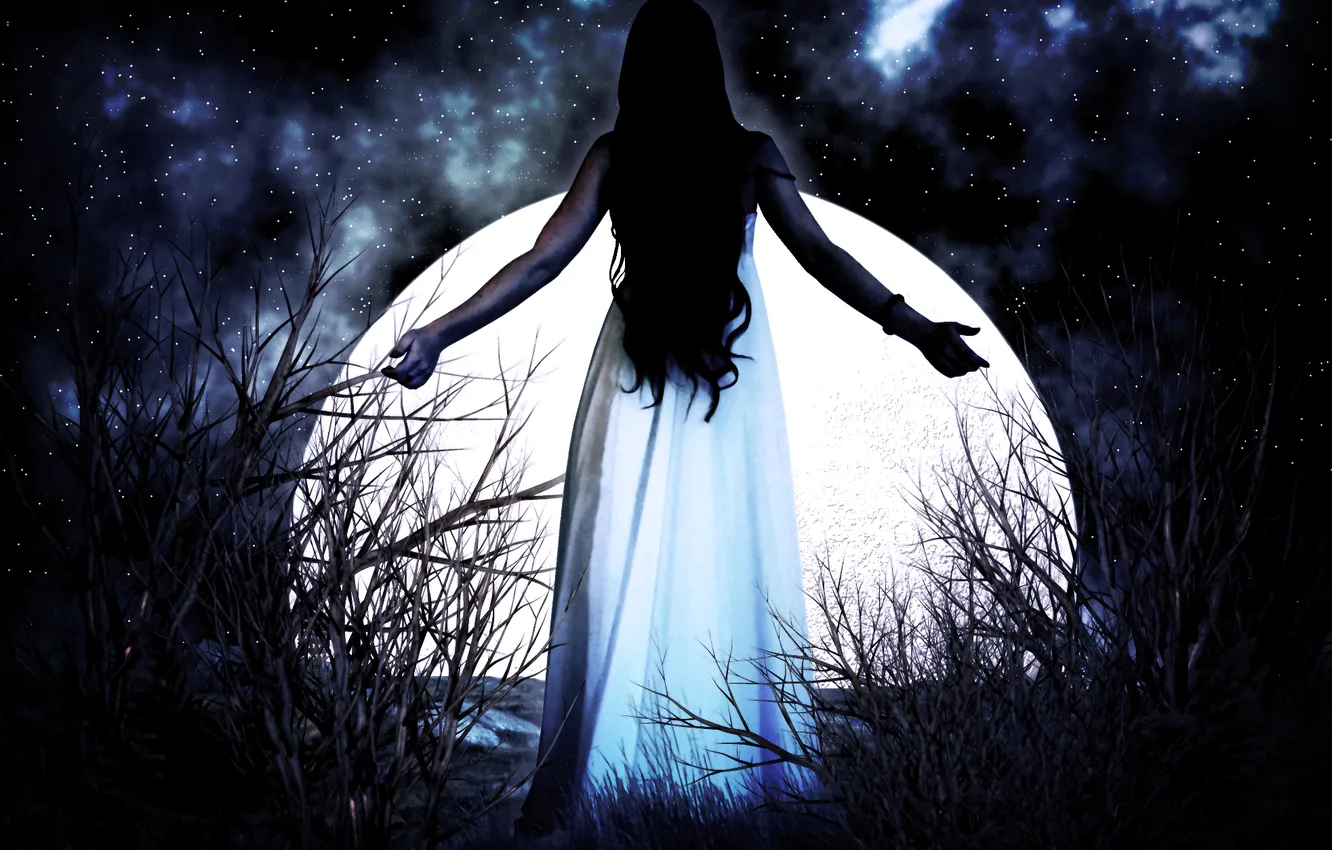 Photo wallpaper the sky, girl, stars, night, the moon, back, hands, long hair