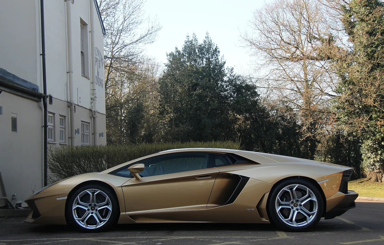 Photo wallpaper black, Lamborghini, profile, gold, gold, drives, black, LP700-4