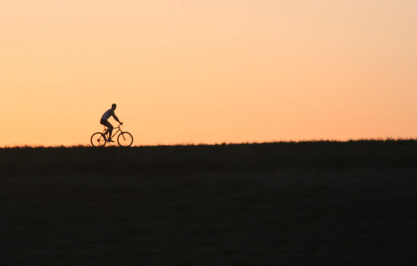 Photo wallpaper field, the evening, cyclist, bike, sunset, ride