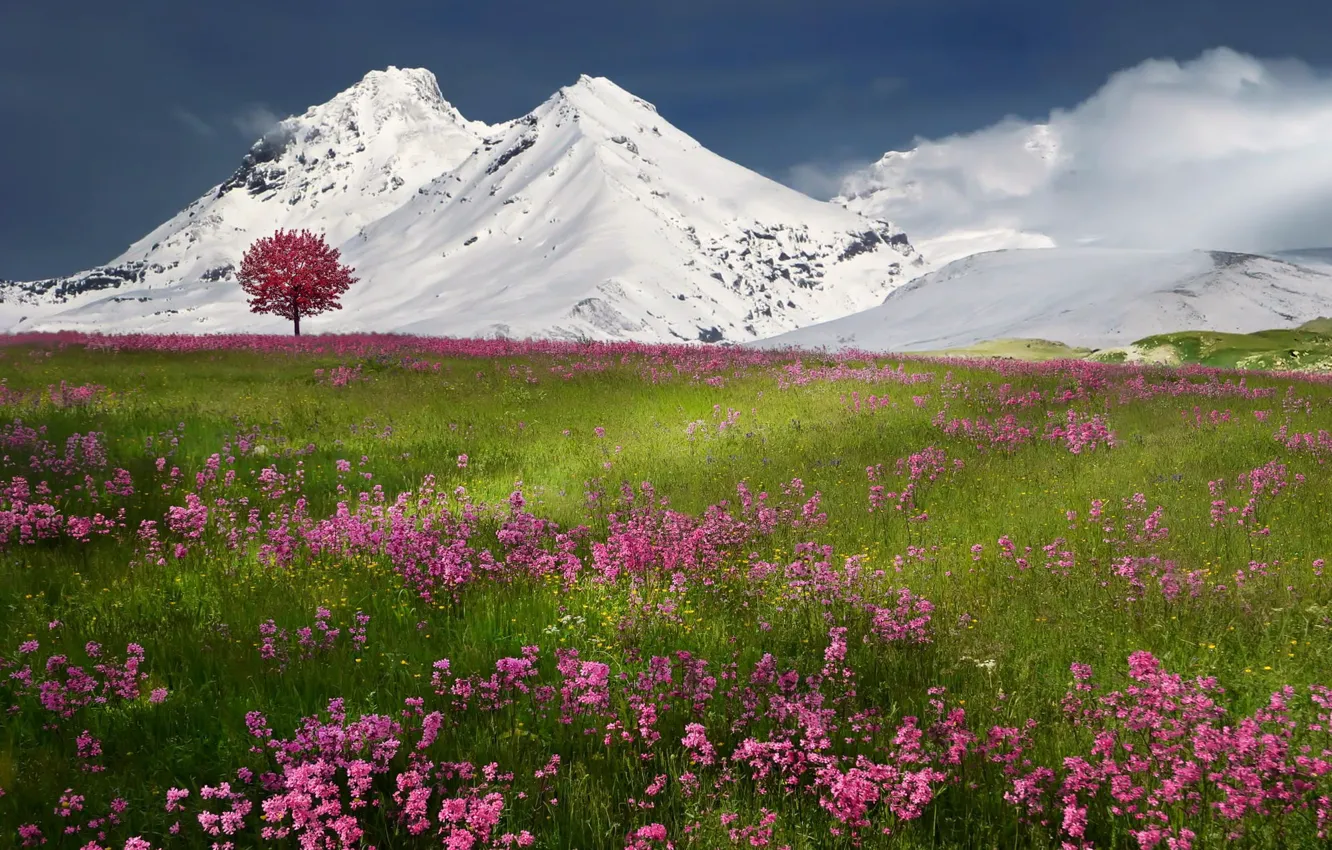 Photo wallpaper winter, snow, mountains, nature, spring
