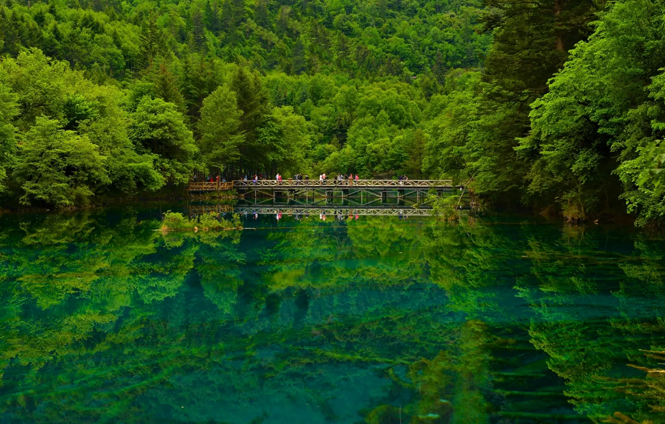 Photo wallpaper forest, bridge, lake, reflection, China, China, reserve, Sichuan