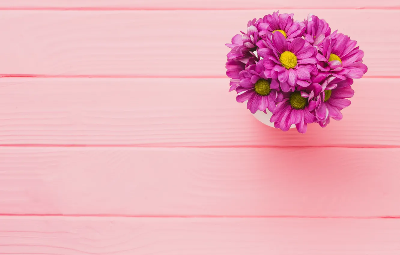 Photo wallpaper flowers, background, pink, chrysanthemum, wood, pink, flowers, purple