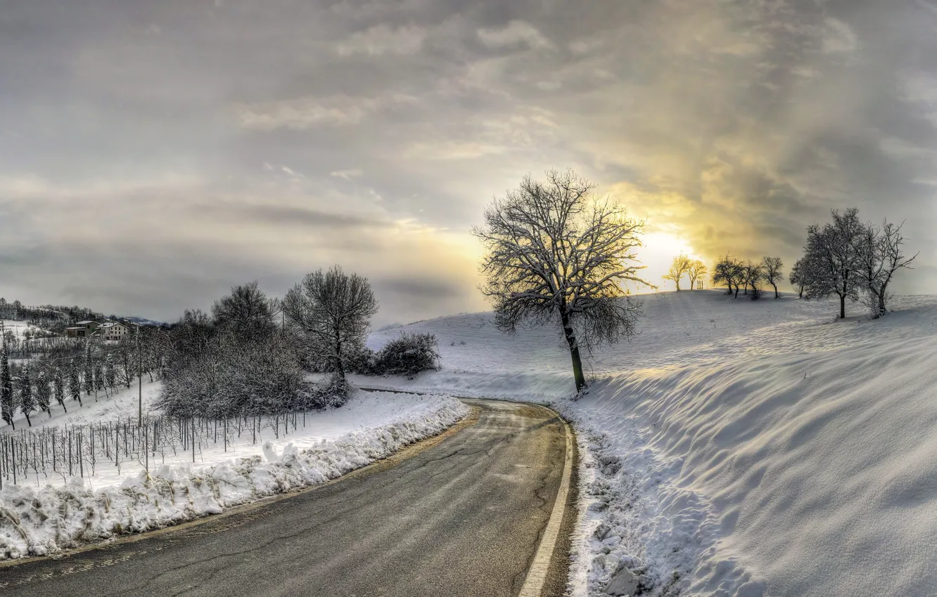 Photo wallpaper winter, road, trees, nature, the evening