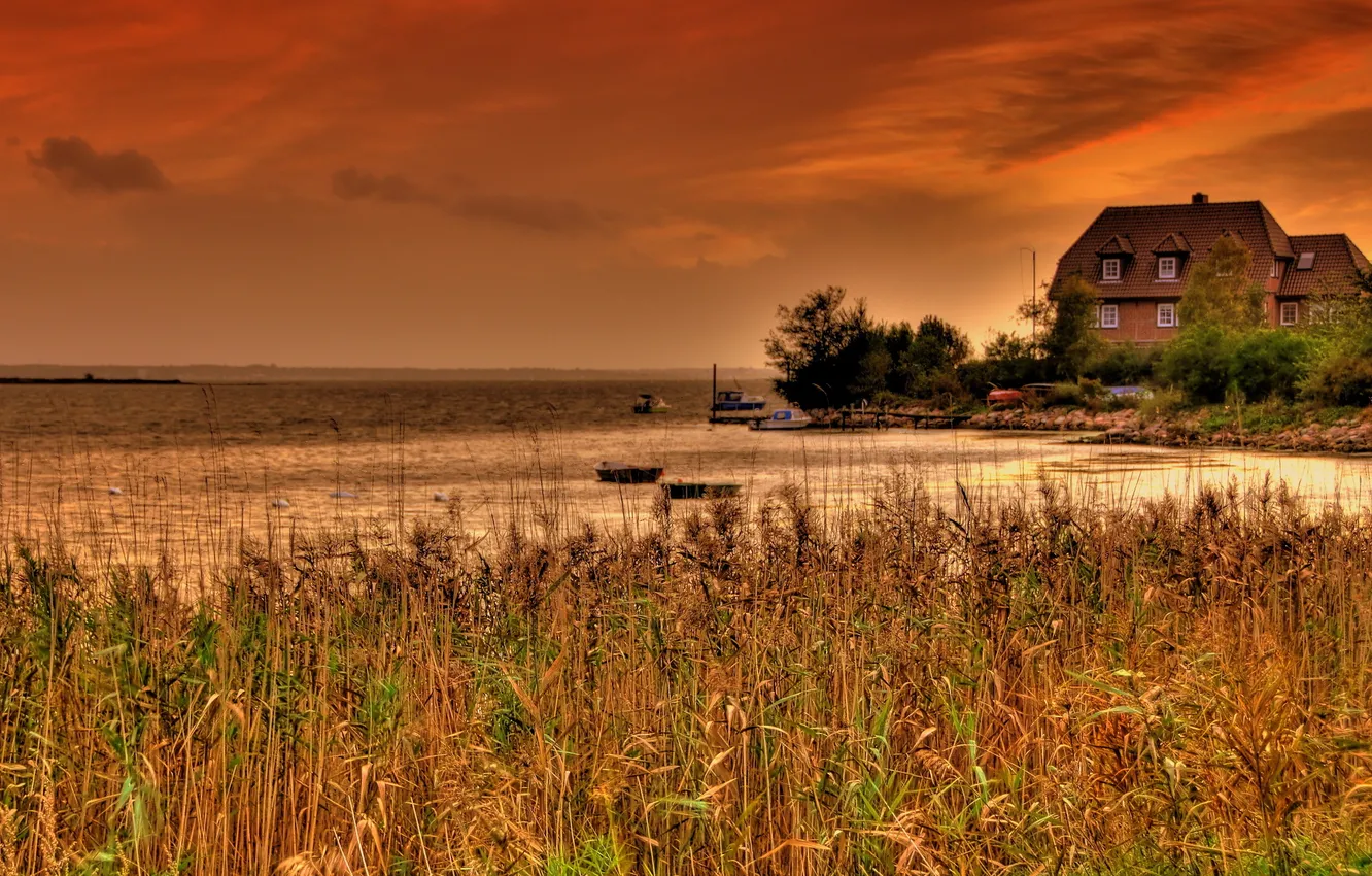 Photo wallpaper landscape, sunset, lake, house, reed