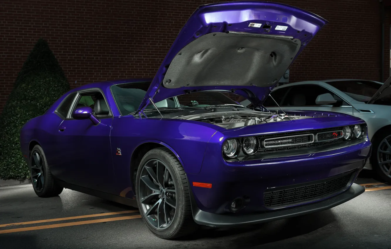 Photo wallpaper Dodge, Challenger, muscle car, cult car