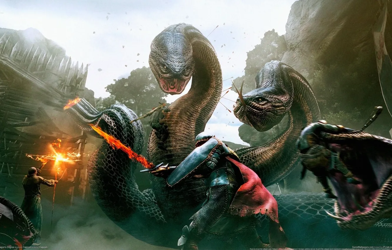 Photo wallpaper the city, dragon, the game, fight, game wallpapers, CG wallpapers, Dragon's Dogma