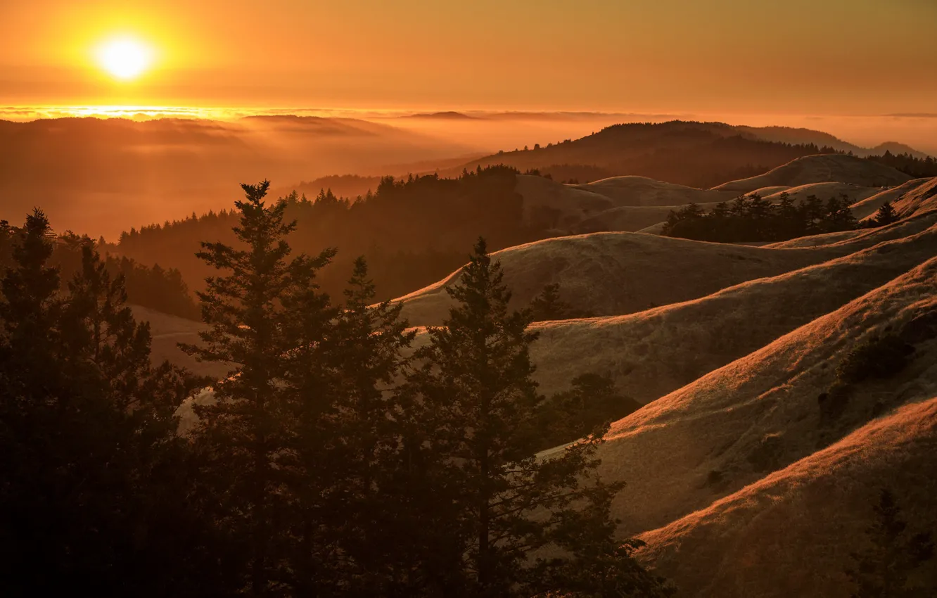 Photo wallpaper sunset, nature, sunset, California, Marin County