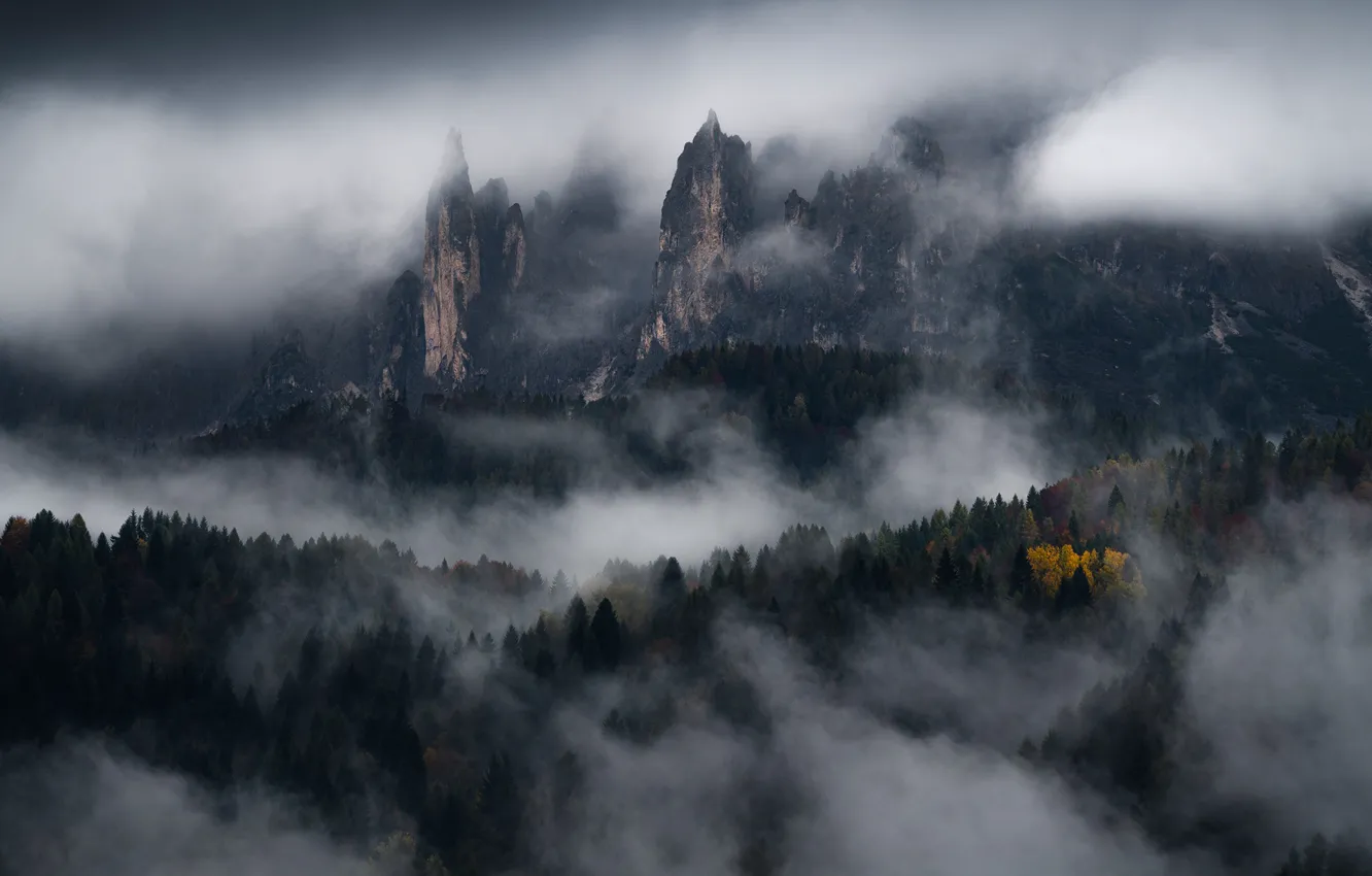 Photo wallpaper forest, trees, mountains, nature, fog, rocks, Dolomites, The Dolomites