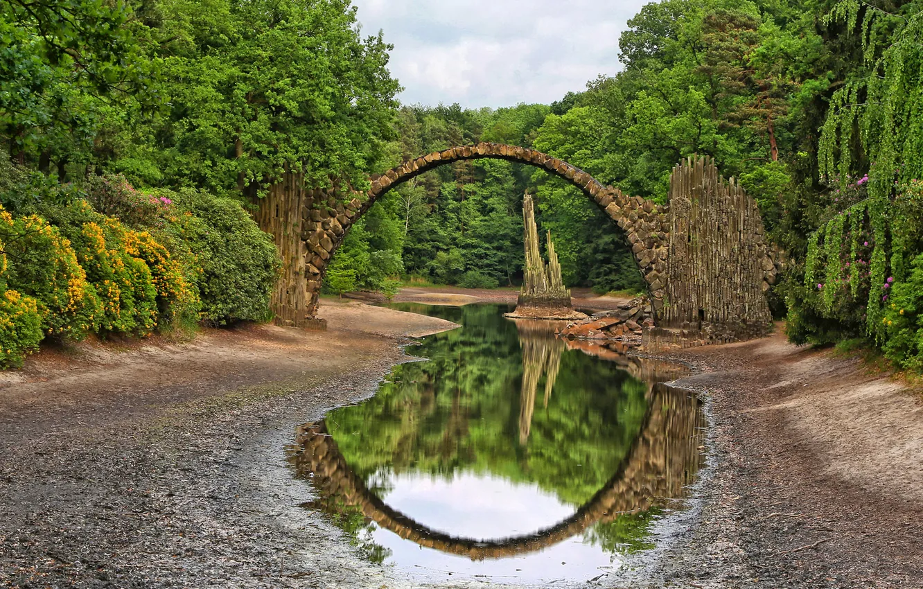 Photo wallpaper forest, bridge, nature, river