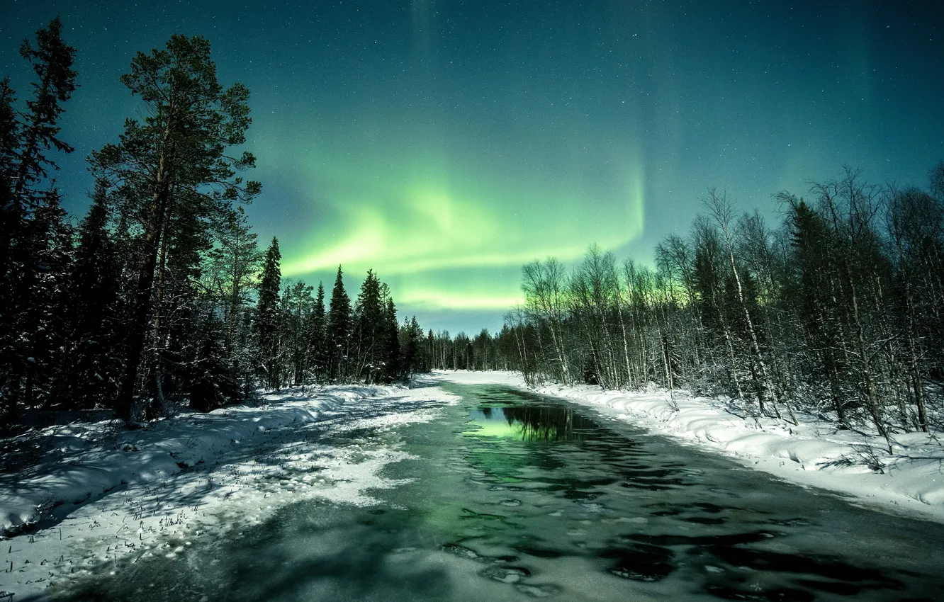 Photo wallpaper winter, forest, snow, trees, night, nature, river, shore