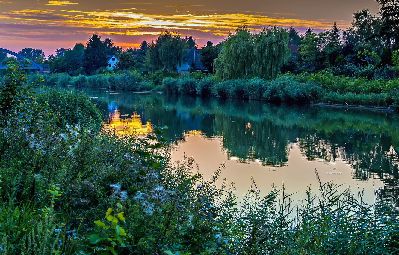 Photo wallpaper grass, sunset, lake