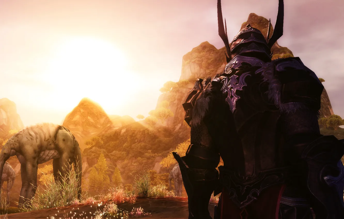 Photo wallpaper back, armor, pasture, horns, knight, Aion, mountain valley, slam