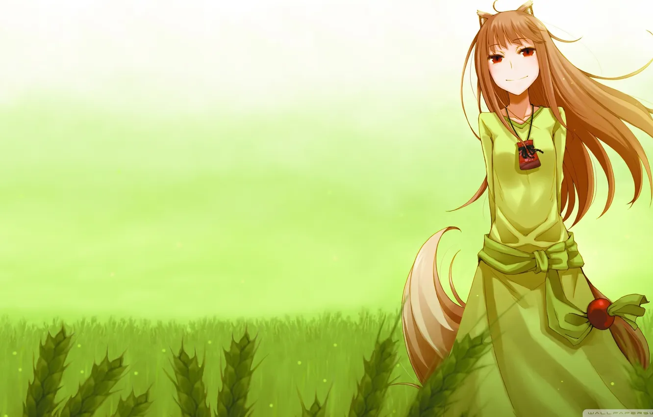 Photo wallpaper wheat, Anime, Horo, Spice and wolf, Tail, Spice and Wolf, Horo, A friend