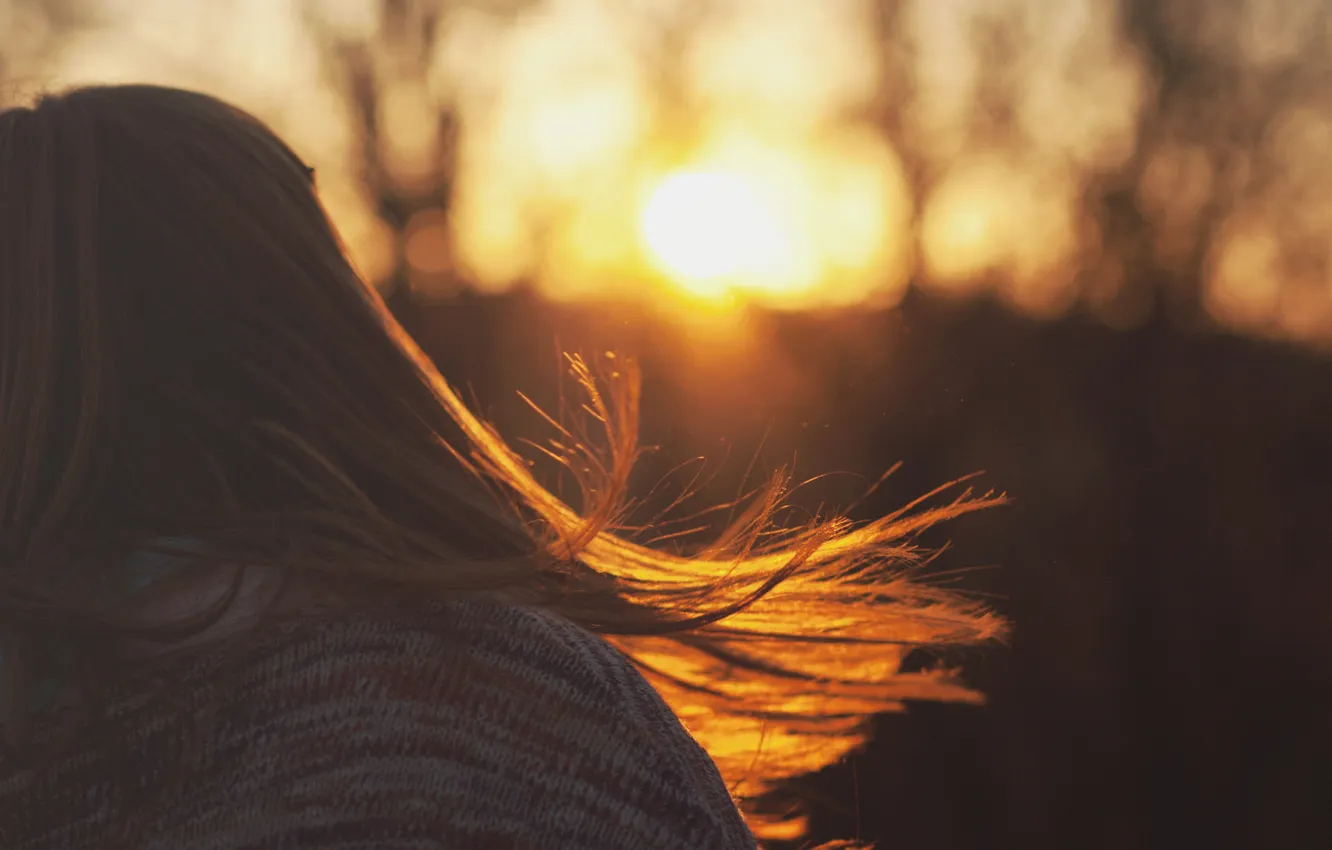 Photo wallpaper girl, the sun, sunset, hair
