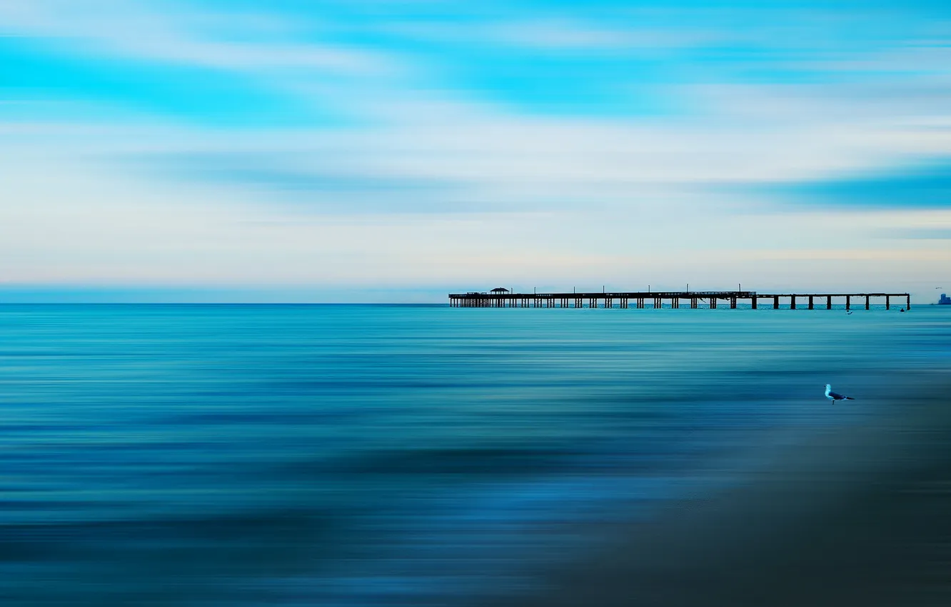 Photo wallpaper sea, landscape, bridge, style, bird