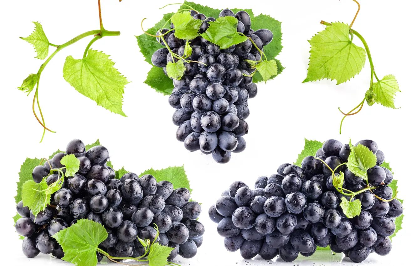 Photo wallpaper leaves, drops, wet, black, grapes, white background, bunches