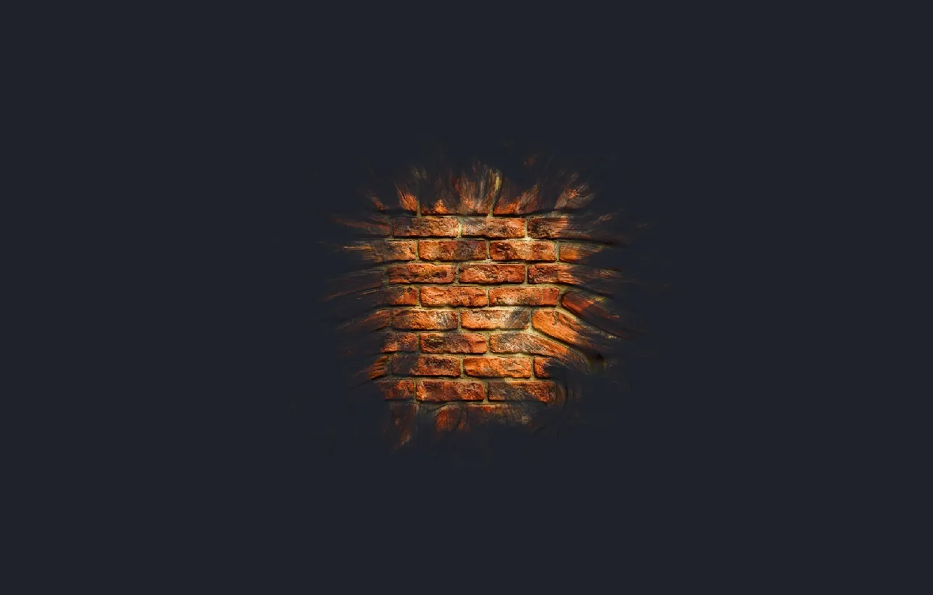 Photo wallpaper macro, wall, minimalism, brick, brick wall