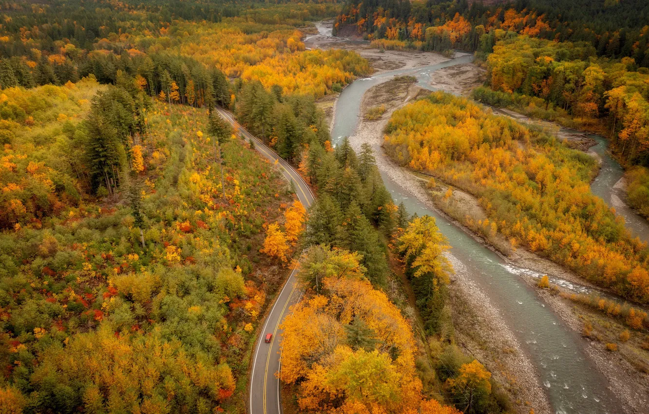 Photo wallpaper road, autumn, forest, river, shore, highway, pond, the colors of autumn