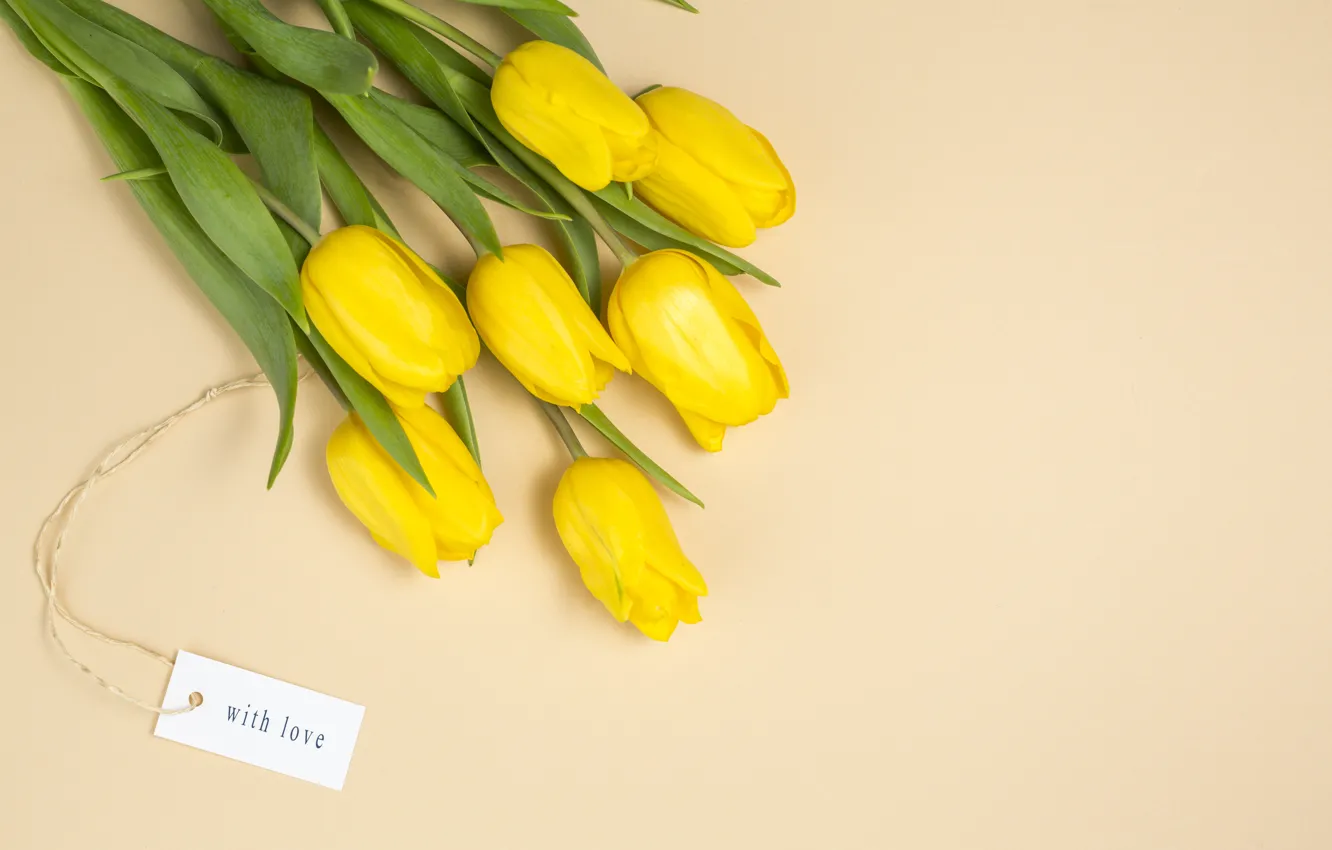 Photo wallpaper yellow, background, bouquet, tulip, bouguet, Dmytro Sheremeta