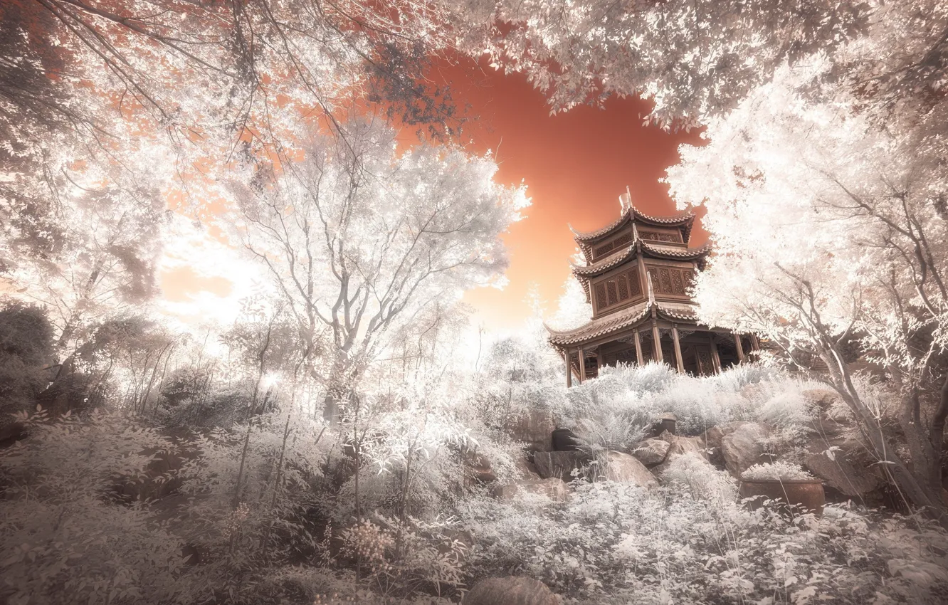 Photo wallpaper forest, castle, Japan