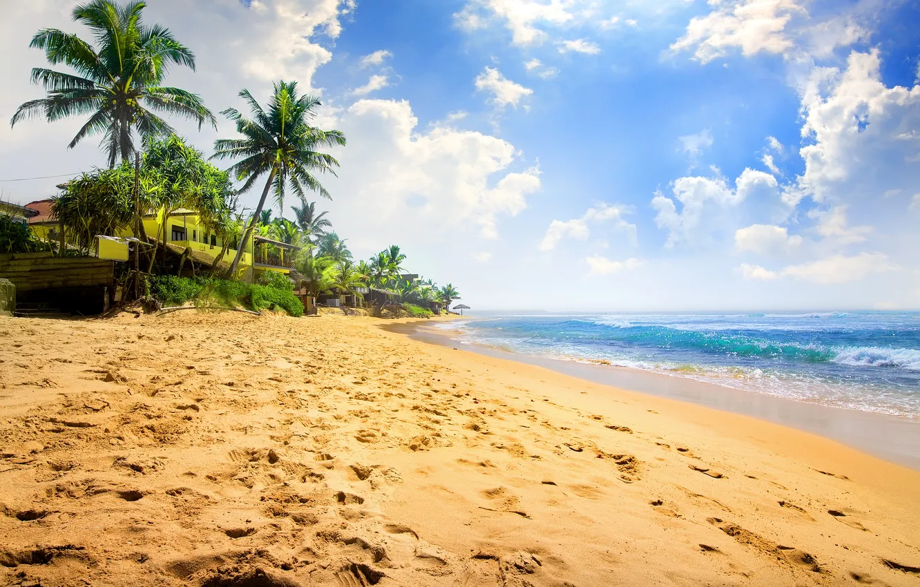 Photo wallpaper sand, sea, beach, palm trees, shore, summer, beach, sea