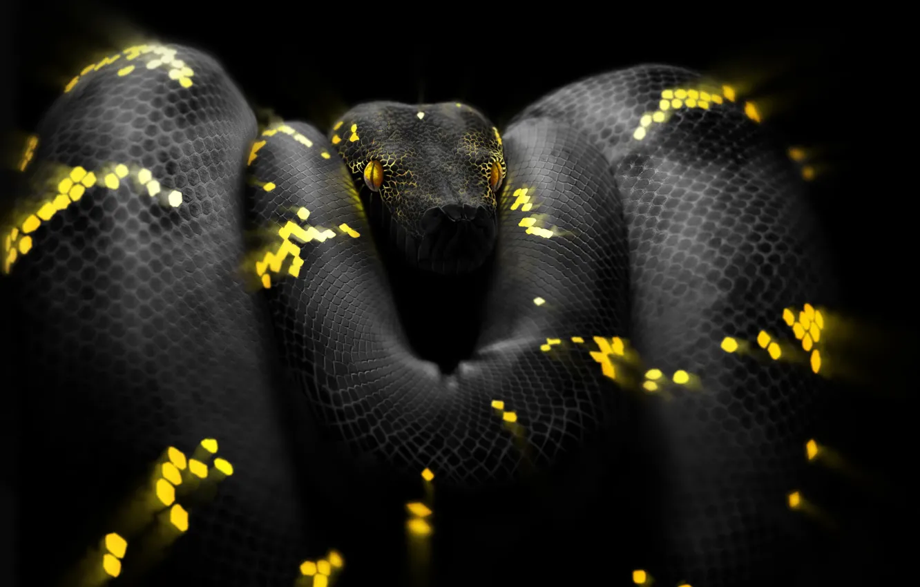 Photo wallpaper Snake, Eyes, Head, Python, Art, Snake, Python, by Ben Judd