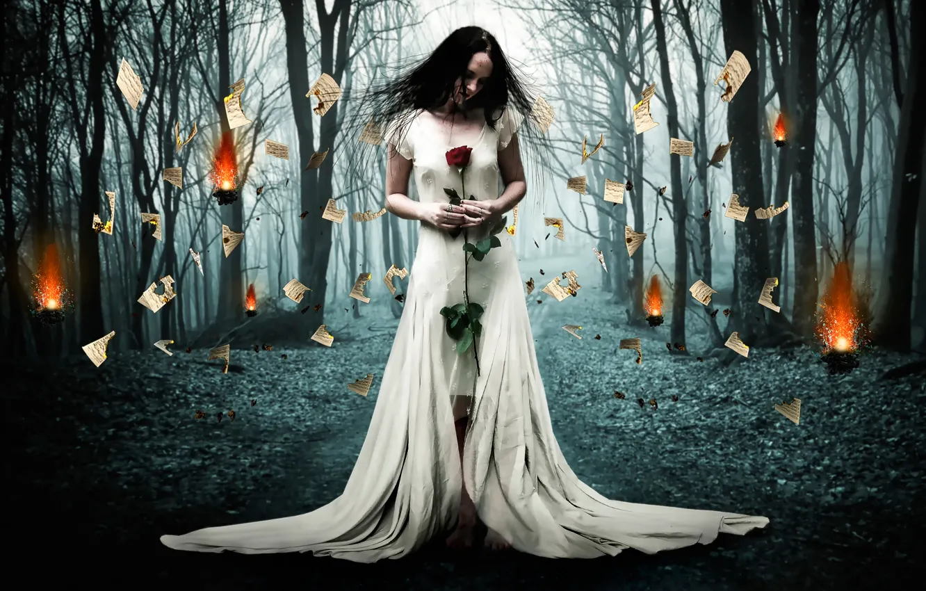 Photo wallpaper forest, girl, fire, rose, page, Burned Love