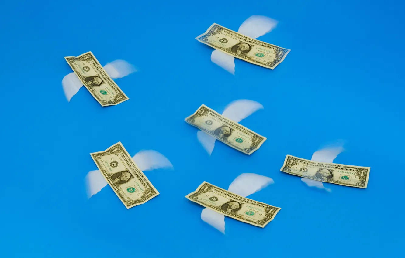 Photo wallpaper background, money, flew
