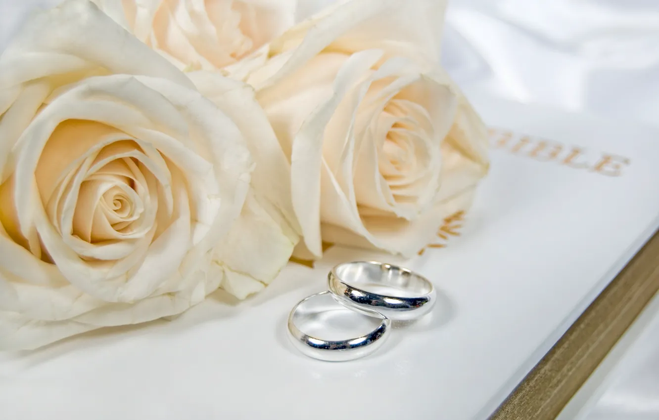Photo wallpaper flowers, flowers, engagement rings, wedding rings