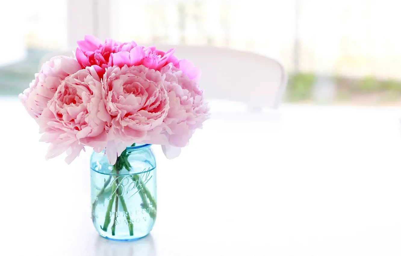 Photo wallpaper white, flowers, table, background, chair, Bank, vase, pink