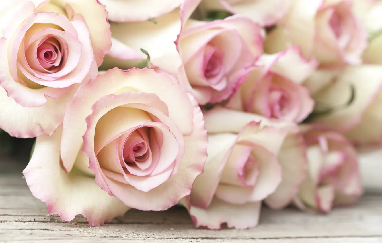 Photo wallpaper flowers, roses, bouquet, pink, wood, pink, flowers, roses