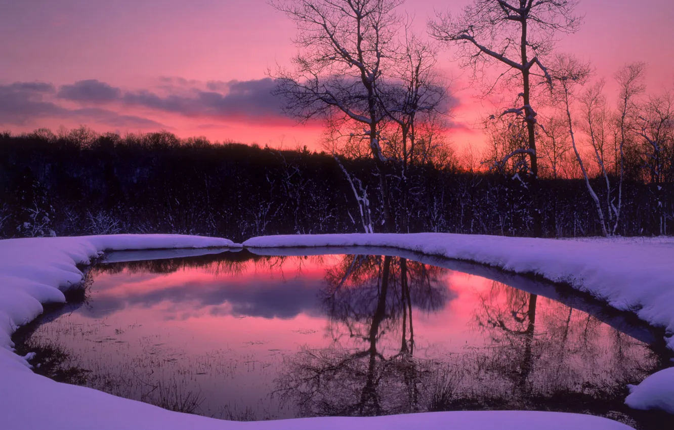 Photo wallpaper winter, forest, snow, trees, lake, the evening