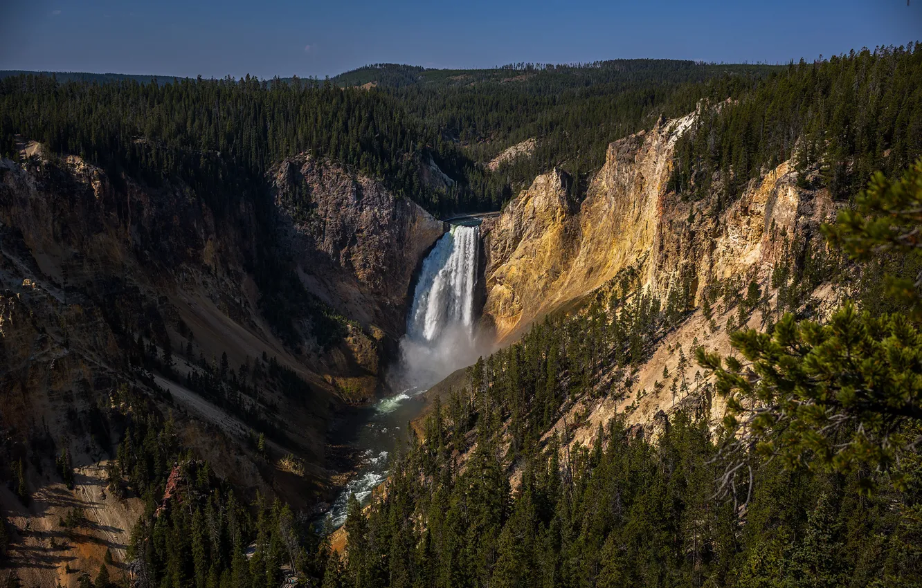 Photo wallpaper forest, the sky, the sun, trees, mountains, river, stones, rocks