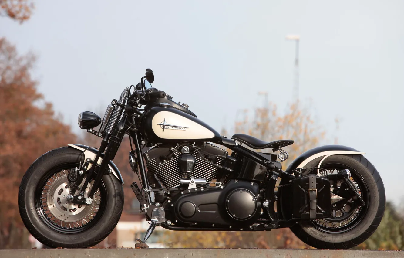 Photo wallpaper Harley-Davidson, Motorbike, Cross Bones, Customized, Thunderbike, By Thunderbike, BONE HUNTER
