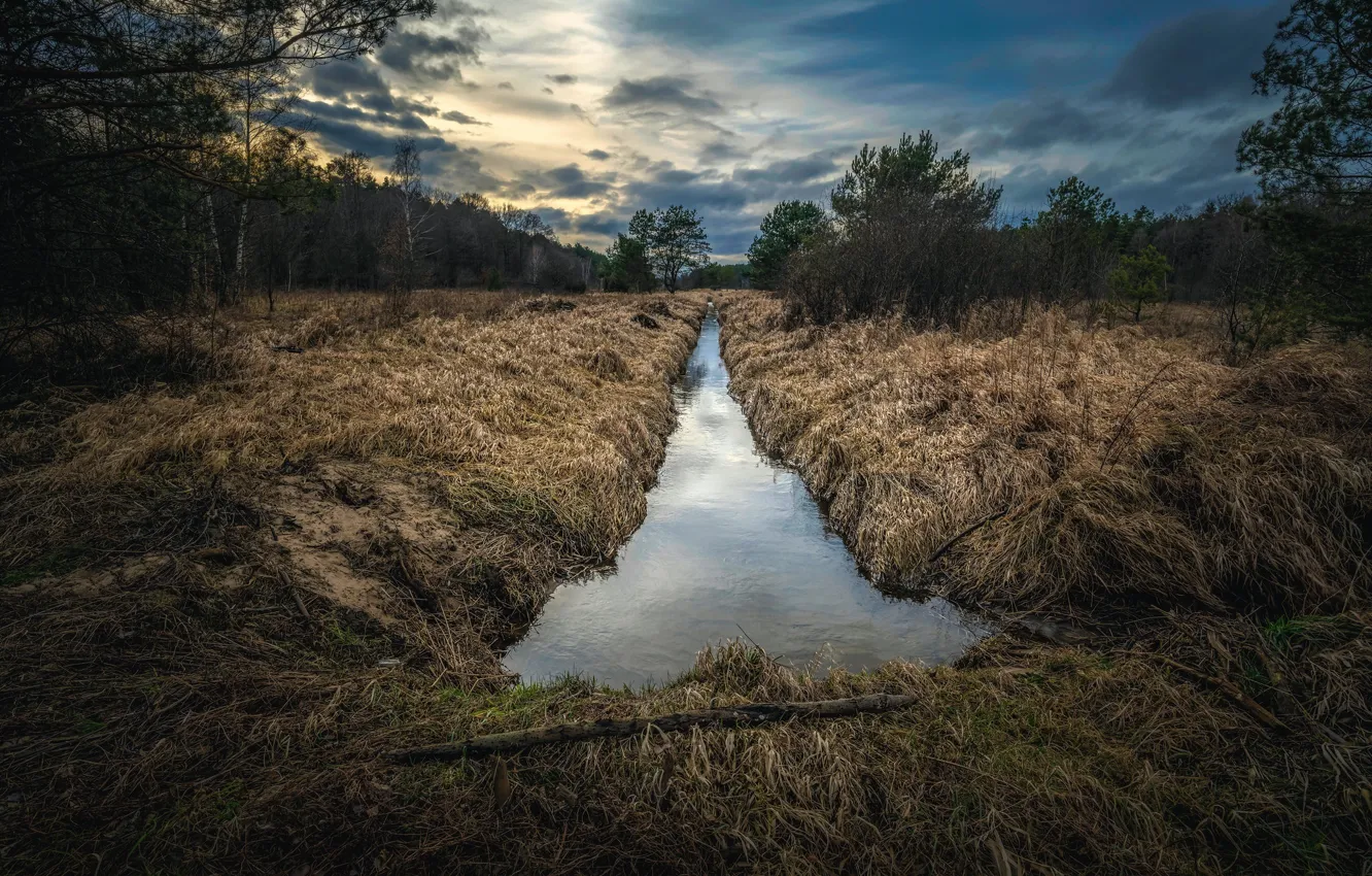 Photo wallpaper field, forest, the sky, water, stream, overcast, shore, channel