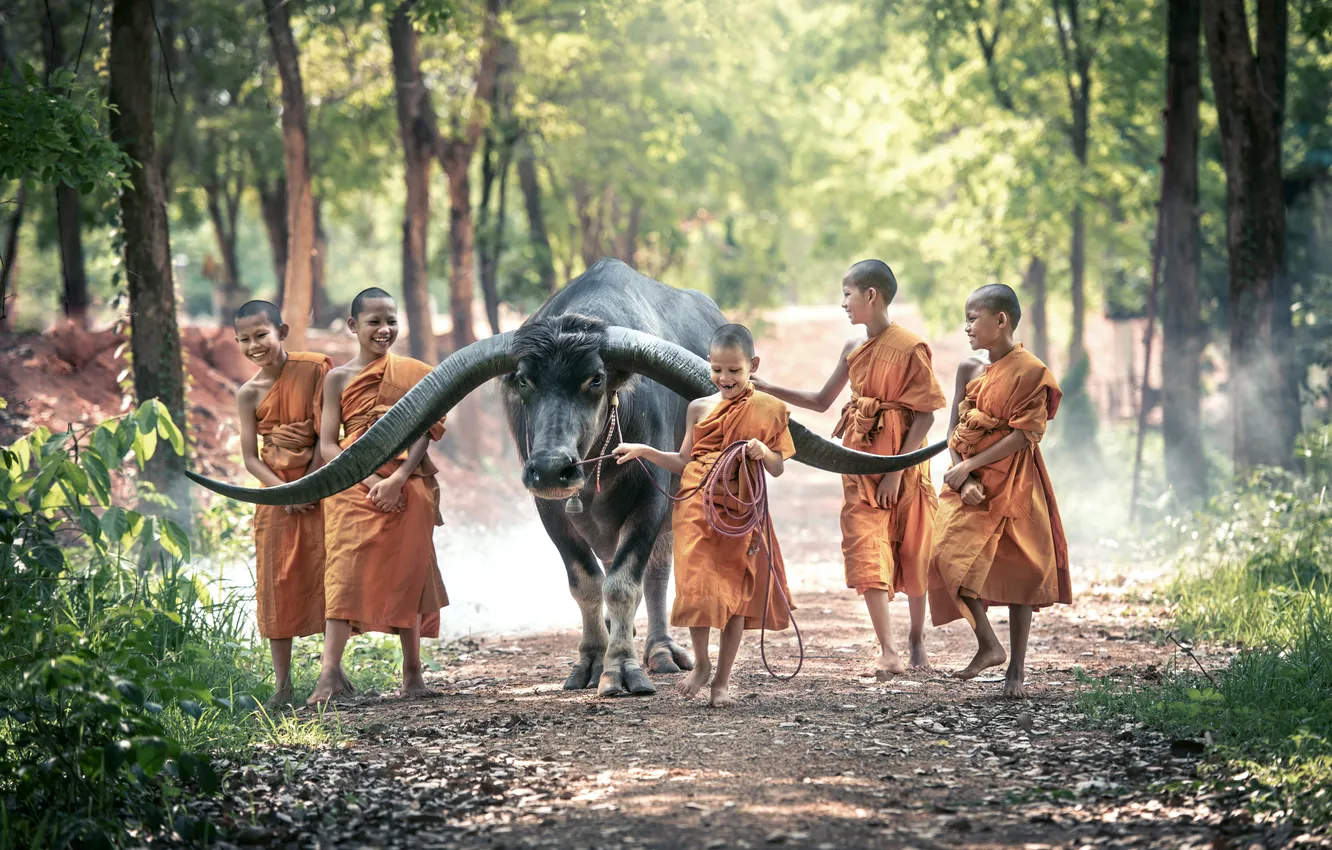 Photo wallpaper nature, boy, asian, monk