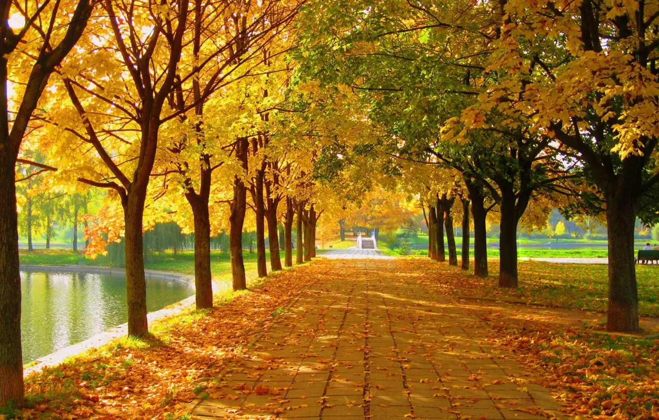 Photo wallpaper autumn, pond, Park, alley
